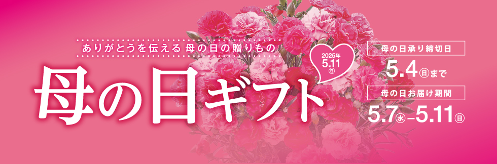 母の日ギフト