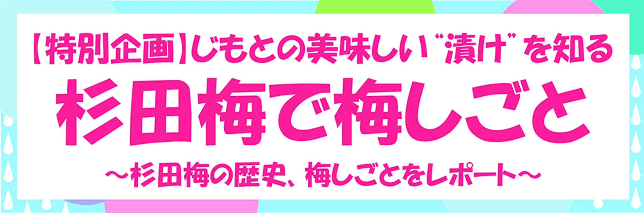 杉田梅で梅しごと～杉田梅の歴史、梅しごとをレポート～