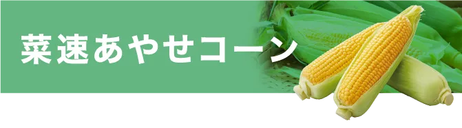 菜速あやせコーン