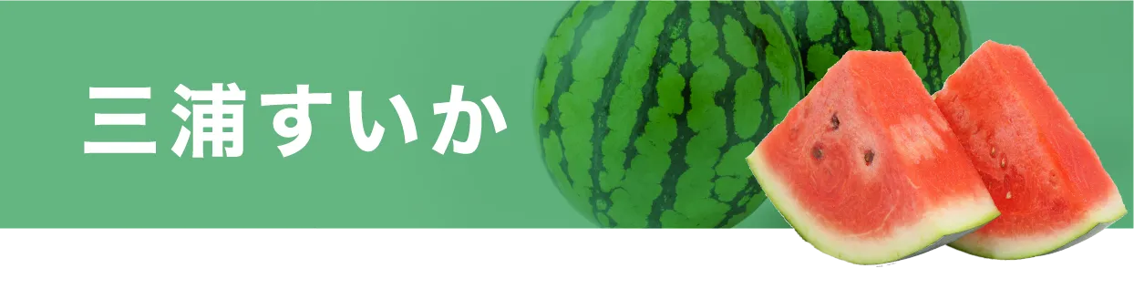 三浦すいか