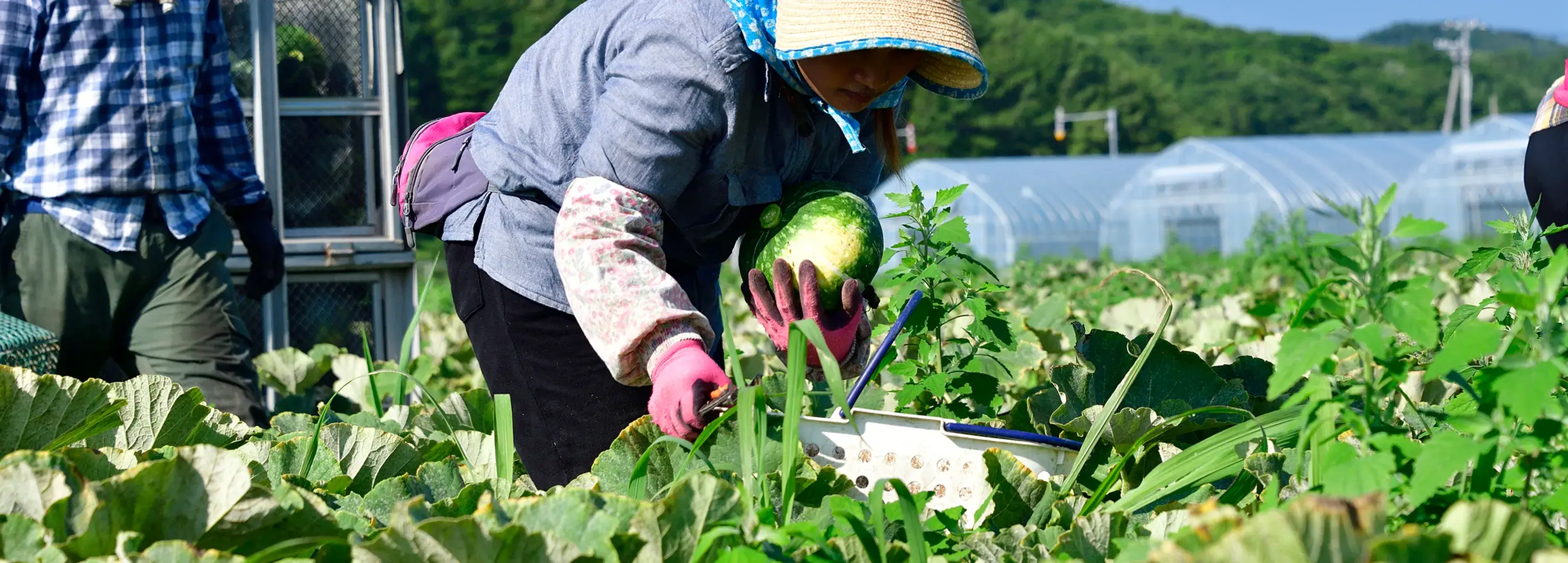 京急ストア